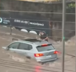 Alice Ferreira Conceição